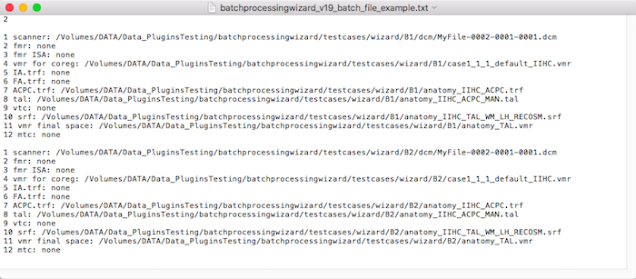 batchprocessingwizard v19 batch file example