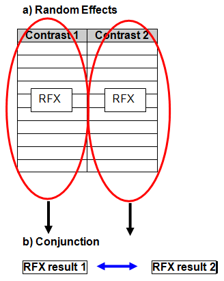 RFX-Conj